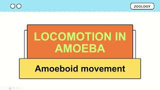 Locomotion in amoeba  Amoeboid movement [upl. by Marcela369]