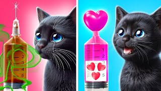 Trata bien a tu Kitty 😼 Consejos secretos para dueños de mascotas [upl. by Streeter443]