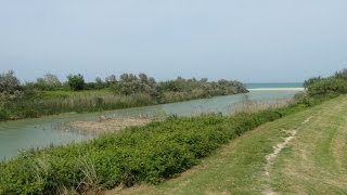 LA FOCE DEL FIUME MUSONE NUMANA E PORTO RECANATI MARCHE ITALY [upl. by Yzdnil]