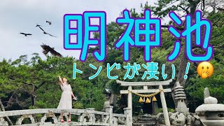 【観光動画】【山口萩 観光】萩博物館と明神池♪ [upl. by Thom]