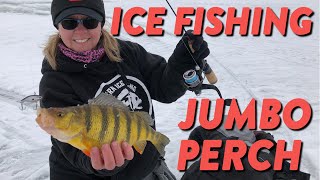 Ice Fishing Perch How to Ice Fish JUMBOS  Tailored Tackle Ice Fishing 2019  Episode 1 [upl. by Schnell]