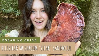 Beefsteak Mushrooms  Forage For Mushrooms  Make a Mushroom Steak Sandwich [upl. by Kurr]