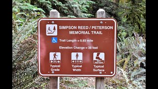 SIMPSON REED PETERSON MEMORIAL TRAIL JEDEDIAH SMITH REDWOODS STATE PARK [upl. by Reade]