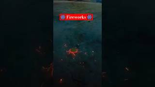 Diwali Fireworks 🎆🎇 shorts shortvideo fireworks diwalicelebration [upl. by Odom776]