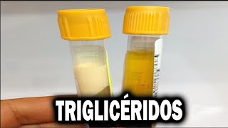 BIOSÍNTESIS DE TRIGLICÉRIDOS explicada Paso a Paso [upl. by Applegate]