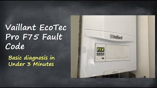 Vaillant EcoTec F75 Fault Code  Basic Diagnosis in 3 Minutes [upl. by Ful]