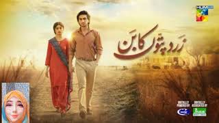 Zard Patto ka Bunn  Last Episode 25 Teaser Sajal Ali  Humza Suhail [upl. by Wylde]