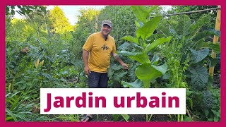 Le jardin urbain de François à Namur  Légumes vivaces et permaculture en ville [upl. by Petit]