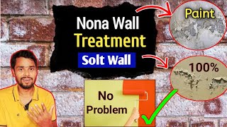 Solt Bricks And Paints Wall Treatment  Nona Wall Kaise Thik Kare [upl. by Conrado]