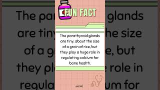 🦴 Can You Name the Tiny Organ That Regulates Calcium in Your Body mededtrivia quiz biology [upl. by Ayahsey]