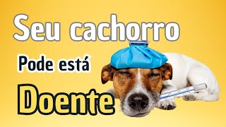 Seu cachorro pode está doente  Assista até o final muito importante [upl. by Aicia828]