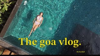 2024 the Goa vlog 🌊✨🫶😔🦢 [upl. by Dolan801]