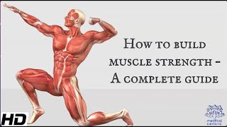 How To Build Muscle Strength A Complete Guide [upl. by Curzon347]