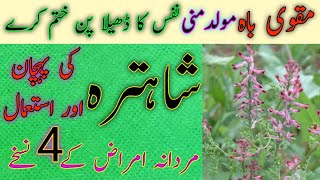 Shahtra Ke Fayde Aur Istamal  Health Benefits Common Fumitory  Shahtra Ke 4 Khas Istamal [upl. by Amsaj]