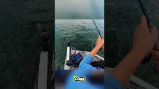 Lake Lanier July Fishing [upl. by Loginov]