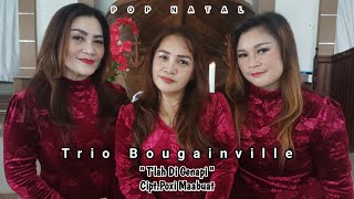 Lagu Natal Terbaru  Trio Bougainville  TLAH DI GENAPI  Official audiovideo  SRI Record [upl. by Grieve958]