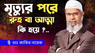 রুহ কি । মৃত্যুর পরে আত্মার কোথায় থাকে। Dr Zakir Naik Bangla Lecture । [upl. by Arehc]