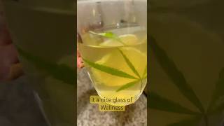 Three Wellness Benefits of leaf Tea antiinflammatory antioxidant nausea relief [upl. by Neehsas263]