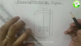 How to draw simple fermenter Bioreactor diagram in easy way diagram stepbystep [upl. by Nally422]