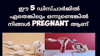 5 different types of early Pregnancy discharge Malayalam Deechus world [upl. by Coats]