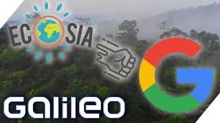 ECOSIA So will die AntiGoogle Firma die Erde grüner machen  Galileo  ProSieben [upl. by Semmes]