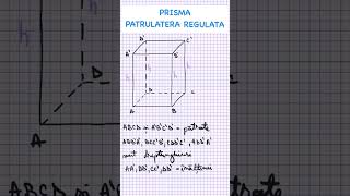 Prisma patrulatera regulata [upl. by Forlini148]