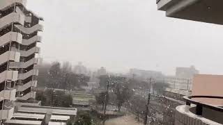 1月28日下午1点半，外面突然好安静，打开窗看到鹅毛飘雪 [upl. by Suiratnod521]