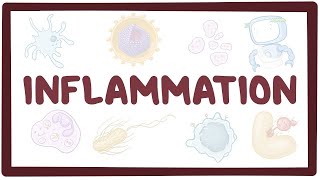 Inflammation  causes symptoms diagnosis treatment pathology [upl. by Nwahsirhc275]