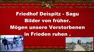 Foto Album Dreispitz Friedhof [upl. by Wain]