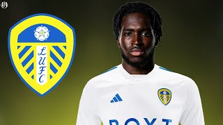 Jonathan Rowe  Welcome to Leeds United 2024  Amazing Skills amp Goals  HD [upl. by Gamal]