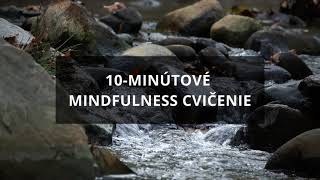 10minútové mindfulness cvičenie meditácia  vedomé dýchanie [upl. by Grosz]