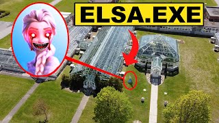 DRONE CATCHES ELSAEXE FROM FROZEN 2 USING HER ICE POWERS IN REAL LIFE  ELSEEXE CAME AFTER US [upl. by Tijnar376]