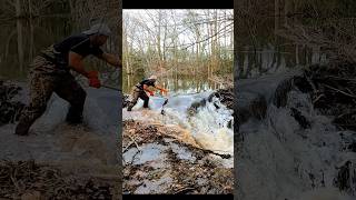 Extreme Water Flow  Beaver Dam Removal shorts beaverdam [upl. by Francisco]