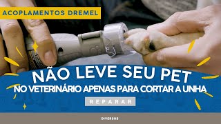 Dremel Pet Grooming  Acoplamento para lixar unhas pet  Acoplamentos Dremel [upl. by Huba]