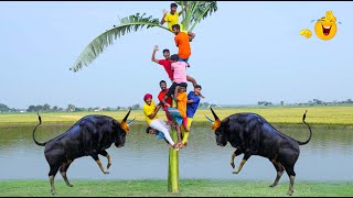 Very Special Trending Funny Comedy Video 2023😂Amazing Comedy Video 2023 Ep360 By beenfuntv [upl. by Nasas]