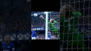 Amazing goalkeeper saves 😨football goalkeeper save moments rares tred foryoupage [upl. by Humpage]