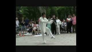 Zhen Wei Academy Mizong Quan in fuxing park [upl. by Eelarbed]