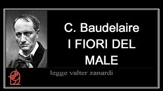 I FIORI DEL MALE di C Baudelaire  lettura integrale [upl. by Thierry856]