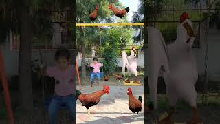 Chicken song and fun time 🐔🐔 shorts viral trending chicken dance meme [upl. by Xel]