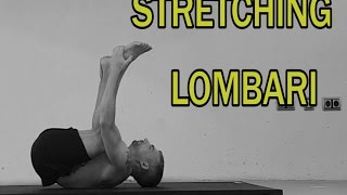 Stretching Parte 10 Lombari [upl. by Illom]