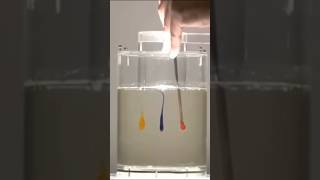 Laminar effect sciencefacts science knowledge facts [upl. by Llewop409]