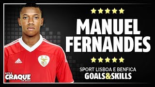 MANUEL FERNANDES ● SL Benfica ● Goals amp Skills [upl. by Law]