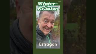 🌱 Winterharte Kräuter – 100 grüne Helden im Garten 💪❄️ winterkräuter garten winterhart [upl. by Tiloine]