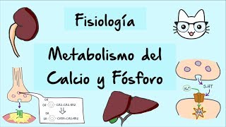 Metabolismo del calcio y fosforo parte 1 [upl. by Aicnarf]