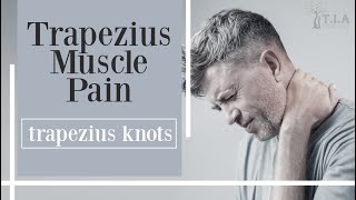 Trapezius Knots  trapezius muscle pain [upl. by Drusilla92]