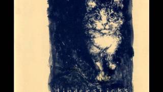 Tindersticks  mistakes live [upl. by Mikes339]