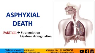 Part8  StrangulationLigature Strangulation  Asphyxial Death  ‎SavvyForensics [upl. by Yevrah260]