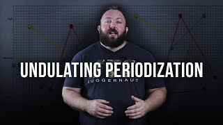 Undulating Periodization Strategies  JTSstrengthcom [upl. by Hocker571]