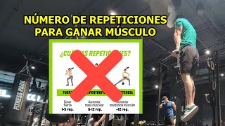 NÃšMERO DE REPETICIONES Ã“PTIMO PARA HIPERTROFIA Entrenamiento 17 Y 18 [upl. by Anayd]