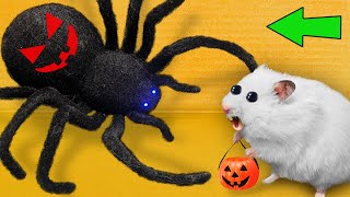 DIY New Halloween Hamster Maze 🎃 Hamster Escapes [upl. by Marget]